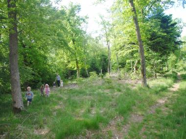 Natur